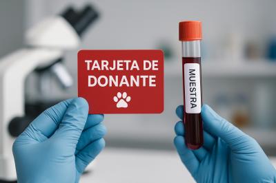 Donación de restos de mascotas para uso científico: pasos, dudas y ética
